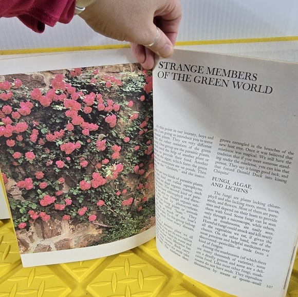 1982 Vintage Disney's Wonderful World of Knowledge about Nature Book. Volume 2 - Picture 4 of 5